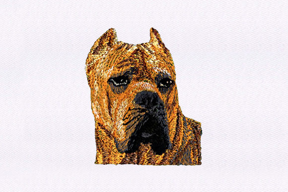 Brown Dog Design Review for Branded Merchandise and Patches